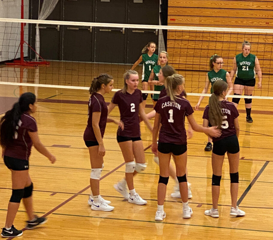 Youth girls Volleyball. Image of team playing a game.