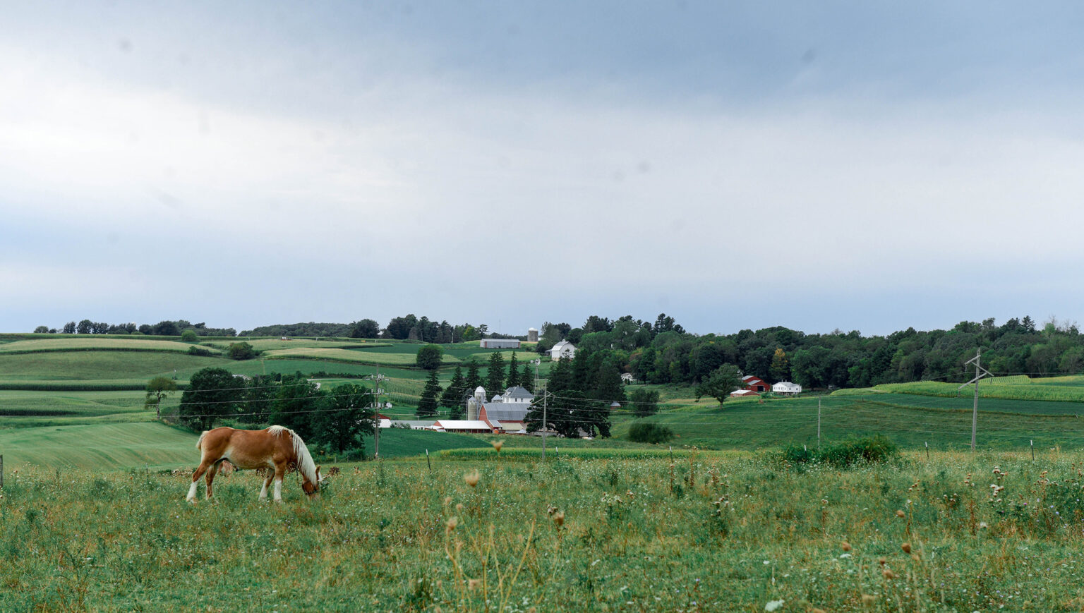 Home Village of Cashton