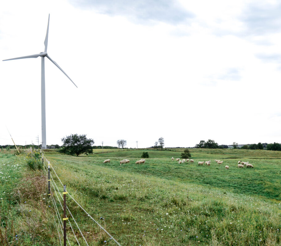 Photo of Wind Turbine in field.