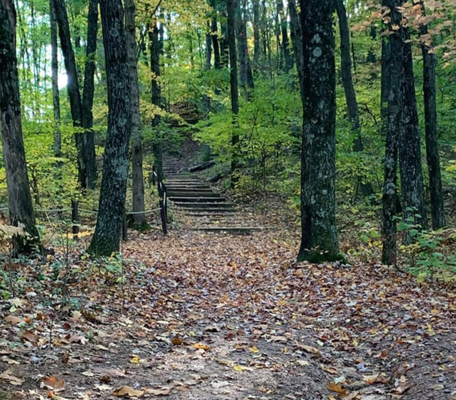 Things to Do in Cashton. Silent Sports. Image of forest with path and stairs going upward.