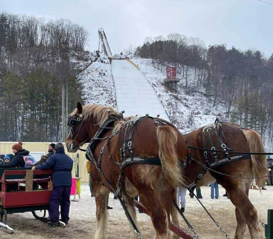 Snowflake Ski Jump. Image of horses at the bottom of the run. They appear to be pulling carts of people.